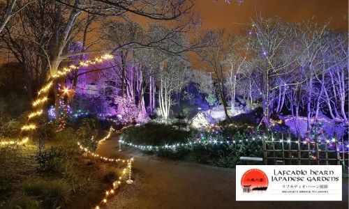 6 Wonderful Family Events To Enjoy Online & In-Person This December winter lights